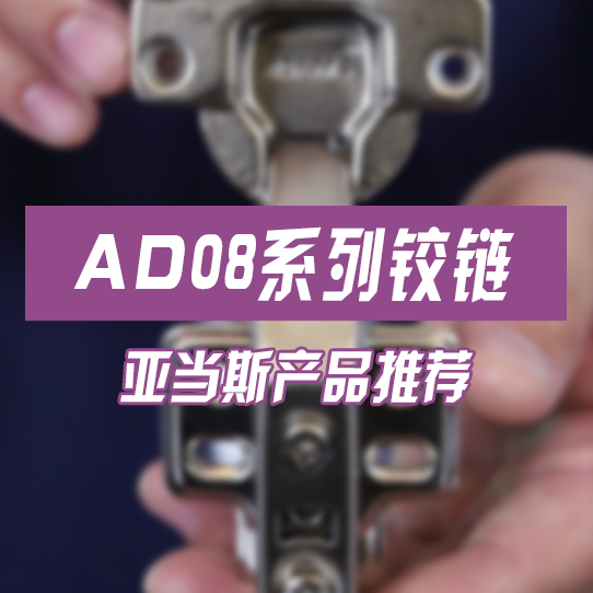 AD08系列鉸鏈